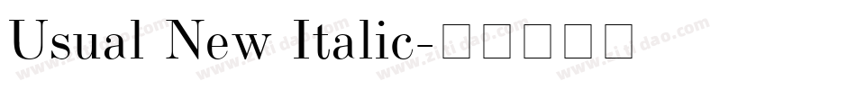 Usual New Italic字体转换
